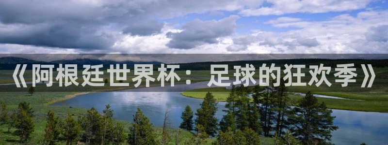 世界杯预选赛亚洲区赛程:《阿根廷世界杯:足球的狂欢季》