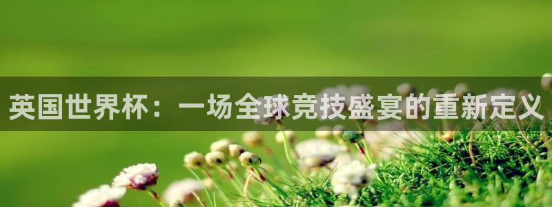 世预赛直播:英国世界杯:一场全球竞技盛宴的重新定义