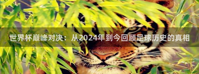 2026年世界杯赛程表时间:世界杯巅峰对决:从2024年到今回顾足球历史的真相