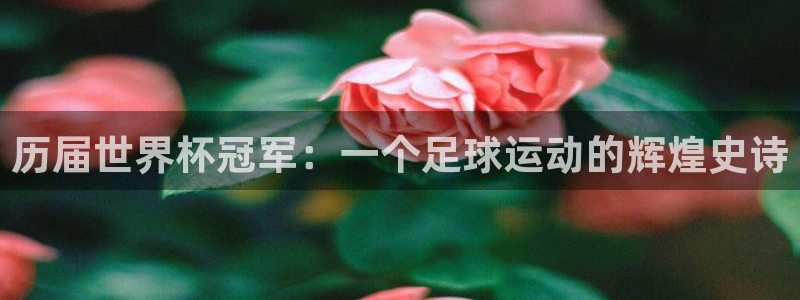 世界杯在线直播:历届世界杯冠军:一个足球运动的辉煌史诗